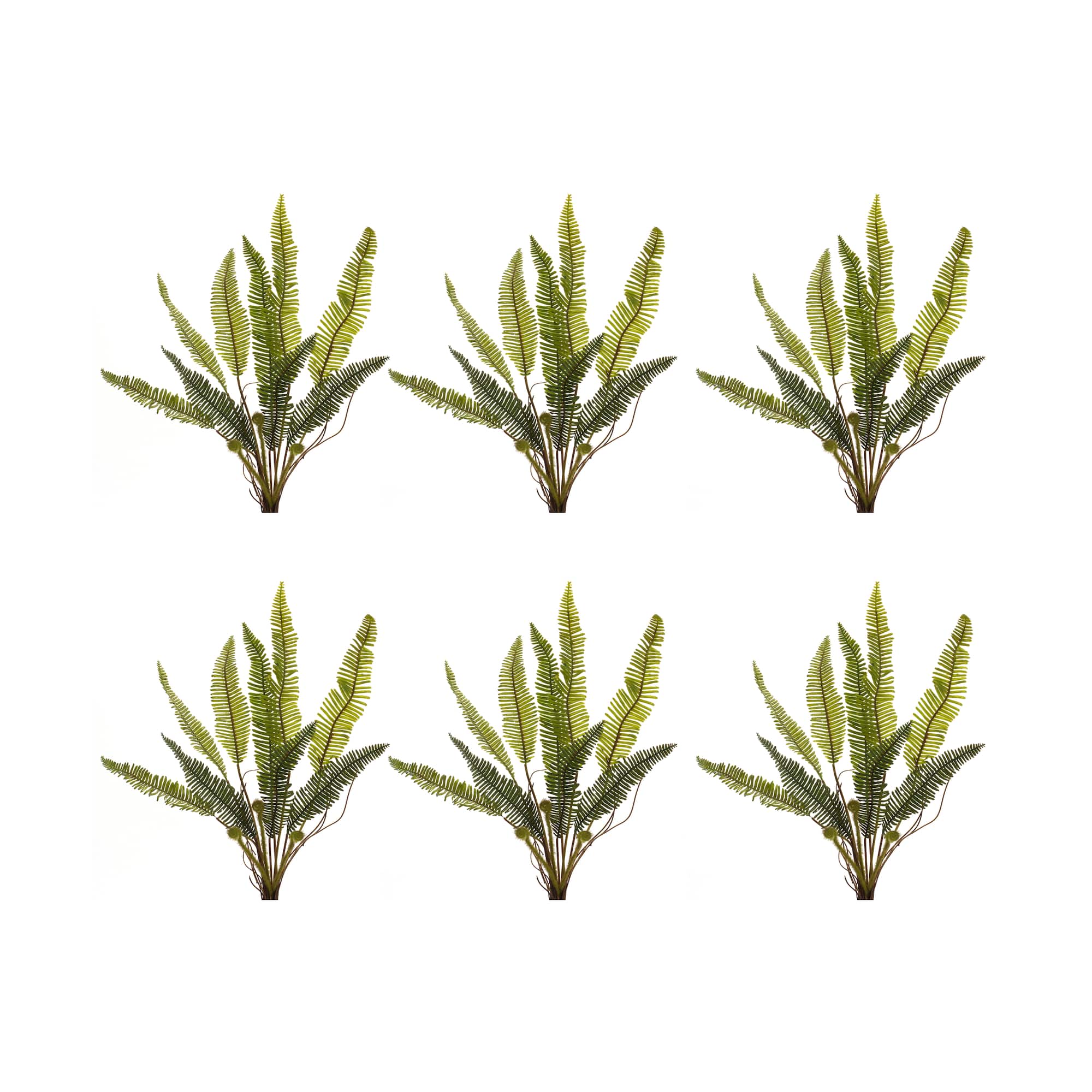 17.5" Varigated Fern Foliage Bushes, 6ct.